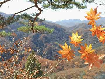 華為網(wǎng)卡往年12月27日實時流量查看方法